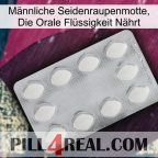 Männliche Seidenraupenmotte, Die Orale Flüssigkeit Nährt 16